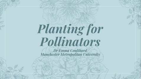 Thumbnail for entry Planting for Pollinators - Festival of Nature