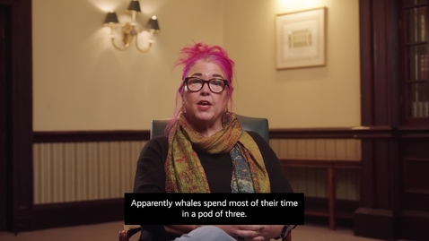 Thumbnail for Karen Duffy: Pod of Three