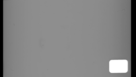 Thumbnail for Eugene Ormandy Family Home Movies: Film 28