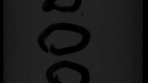 Thumbnail for Eugene Ormandy Family Home Movies: Film 37