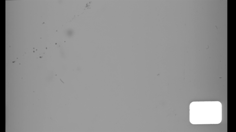 Thumbnail for Eugene Ormandy Family Home Movies: Film 29