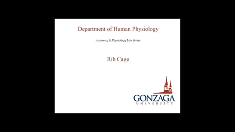 Thumbnail for Rib Cage