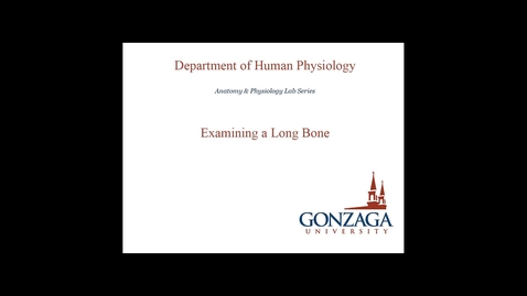 Thumbnail for Examining a Long Bone