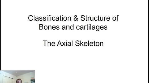 Thumbnail for Skeletal Part 1