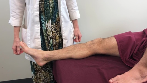 Thumbnail for PHT5226C_MLT Gastrocnemius