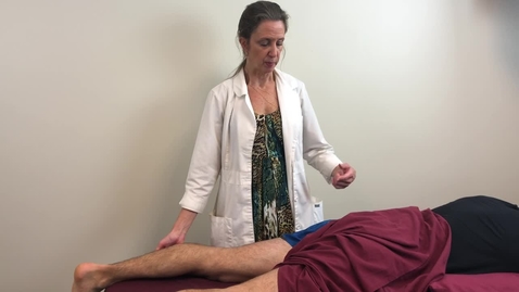 Thumbnail for PHT5226C_MMT Gluteus Maximus