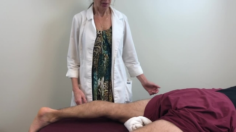 Thumbnail for PHT5226C_MMT Hamstrings - All