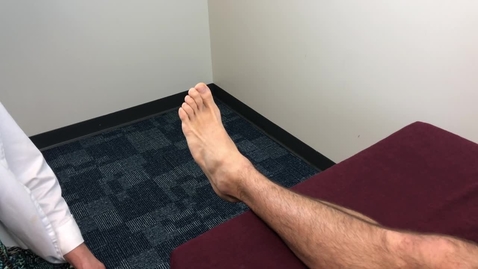 Thumbnail for PHT5226C_MMT Peroneus Longus and Brevis