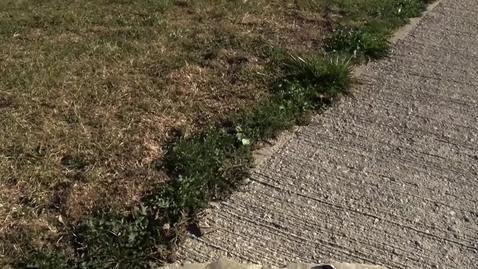 Thumbnail for Disk Golf Course Fall 2013