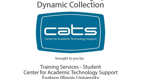 Thumbnail for D2L ePortfolio - Dynamic Collection