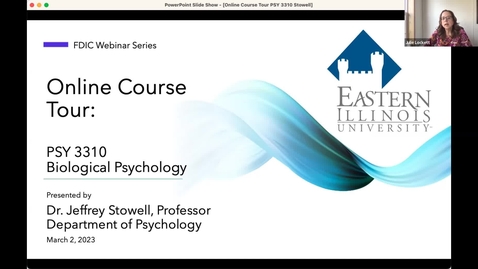 Thumbnail for Online Course Tour - PSY 3310