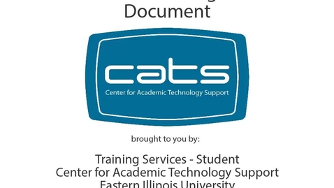 Thumbnail for D2L ePortfolio - Web Document