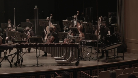 Thumbnail for Concerto for Percussion and Orchestra