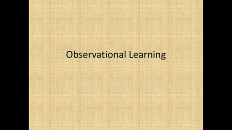 Thumbnail for Observational Learning