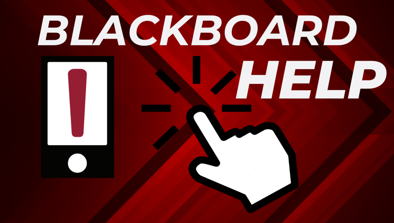 Dowloading and Creating a Student Email Address Excel File with Blackboard