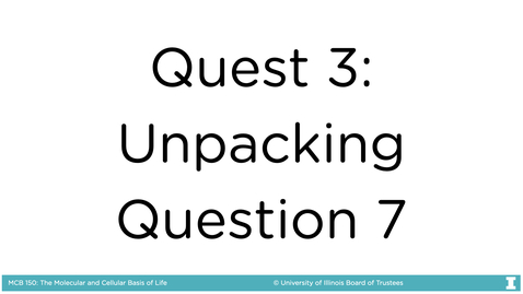 Thumbnail for entry Quest 3 SP22, Question 7 Explanation