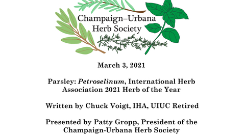 Thumbnail for entry C-U Herb Society Meeting March 3, 2021 &quot;Parsley: Petroselinum, International Herb Association 2021 Herb of the Year&quot;