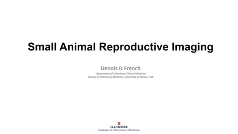 Thumbnail for entry Small animal reproductive imaging - March 19th 2020, 12:33:27 pm