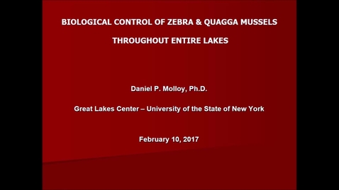Thumbnail for entry NRES 500 Spring 2017 - Molloy - Biological control of zebra &amp; quagga mussels throughout entire lakes