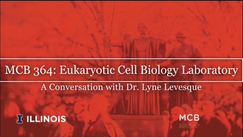 Thumbnail for entry MCB 364: Eukaryotic Cell Biology Laboratory, Conversation with Dr. Lyne Levesque