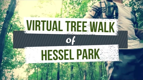 Thumbnail for entry Virtual Tree Walk of Hessel Park 1