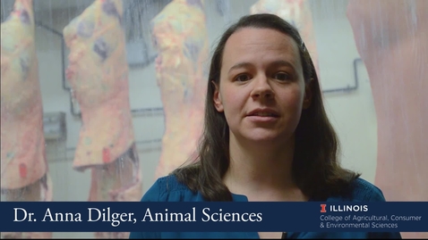 Thumbnail for entry Anna Dilger - Department of Animal Sciences,University of Illinois at Urbana Champaign