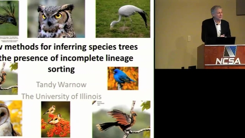Thumbnail for entry Grand Challenges in Constructing Large Evolutionary Trees -- Tandy Warnow