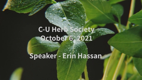 Thumbnail for entry C-U Herb Society Meeting October 6, 2021 &quot;Hildegard of Bingen: Her Life and Contributions to Herbal health and Wellness&quot;