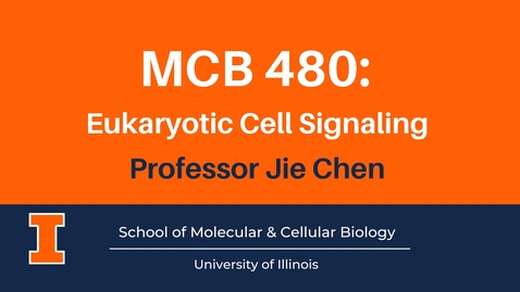 Thumbnail for entry MCB 480: Eukaryotic Cell Signaling (advanced course video)