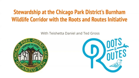 Thumbnail for entry Stewardship Learning - Stewardship at the Chicago Park District's Burnham Wildlife Corridor, Roots and Routes