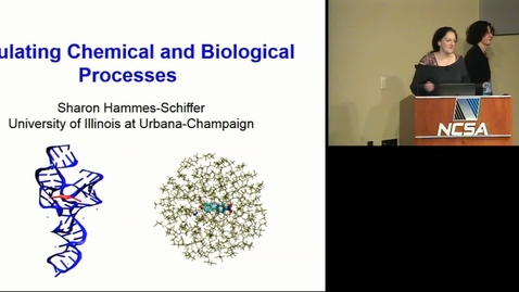 Thumbnail for entry Simulating Chemical and Biological Processes -- Sharon Hammes-Schiffer