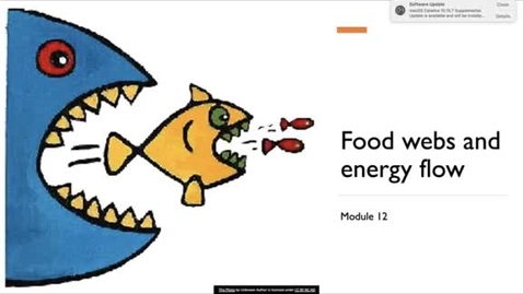 Thumbnail for entry NRES 102 Module 12: Food webs and energy flow