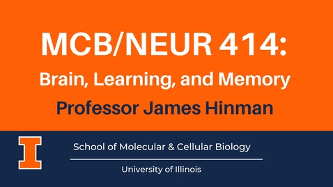 Thumbnail for entry MCB/NEUR 414: Brain, Learning, and Memory