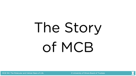 Thumbnail for entry The Story of MCB