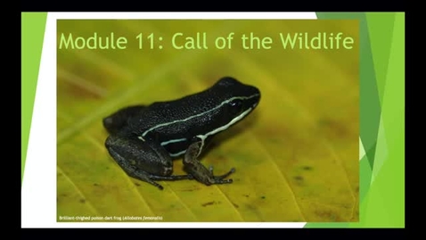 Thumbnail for entry NRES 102 Module 11: Call of the wildlife