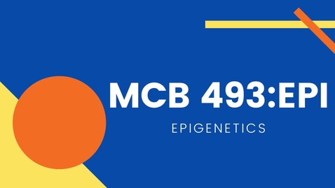 Thumbnail for entry MCB 493 EPI - Epigenetics