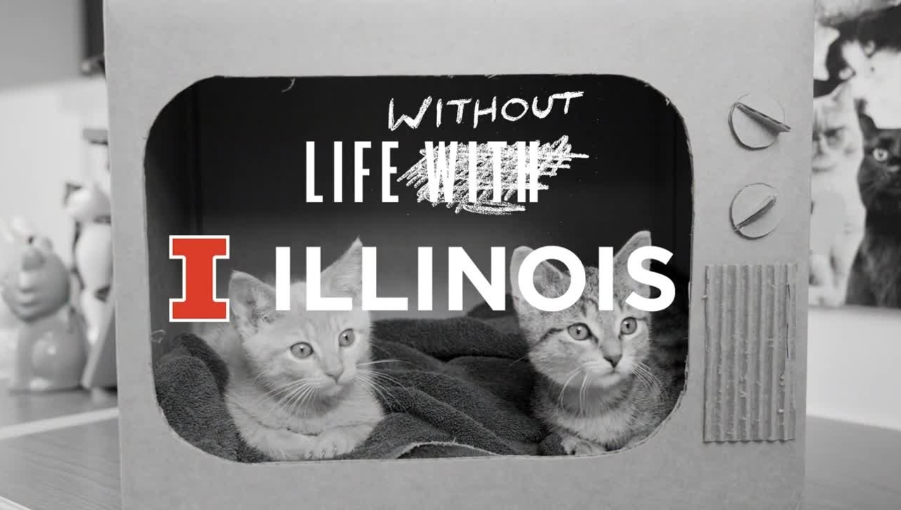 Without Illinois