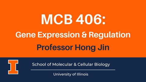 Thumbnail for entry MCB 406: Gene Expression &amp; Regulation, Part 2 (advanced course video)