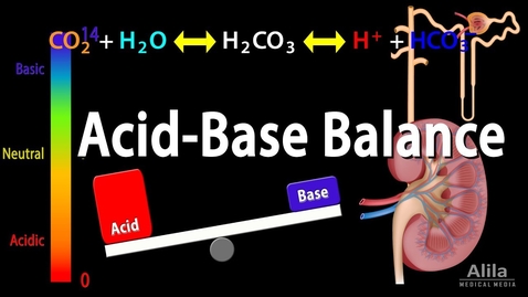 Thumbnail for entry Acid Base Balance, Animation.