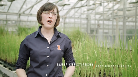 Thumbnail for entry Crop Sciences @Illinois