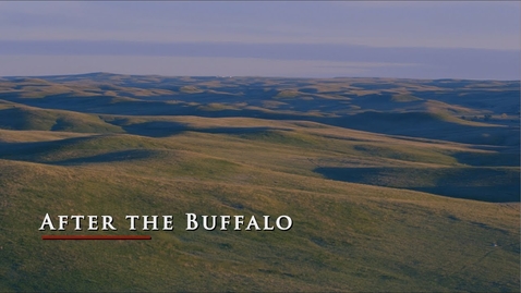 Thumbnail for entry Beef Cattle: I AM ANGUS: After the Buffalo | The DX Ranch