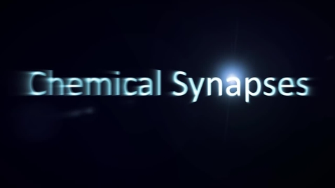 Thumbnail for entry Chemical Synapse Animation