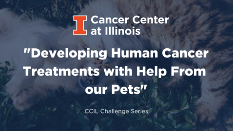 Thumbnail for entry Developing Human Cancer Treatments with Help From Our Pets