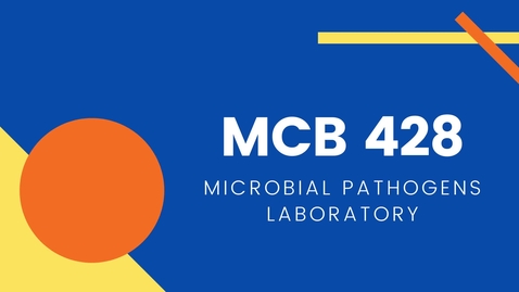 Thumbnail for entry MCB 428 - Microbial Pathogens Laboratory