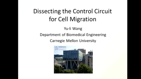 Thumbnail for entry Dissecting the control circuit for cell migration