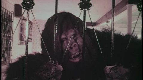 Thumbnail for Rejas Navarro, &quot;Ni King Kong puede con ellas&quot;