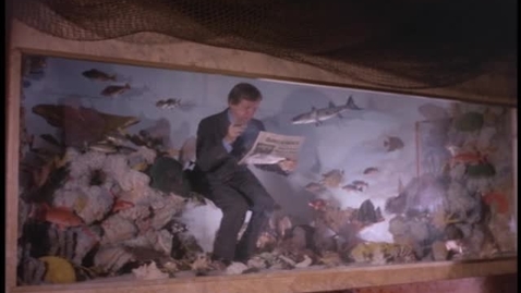 Thumbnail for Diario Las Américas, con la participación del comediante Salmoyedo