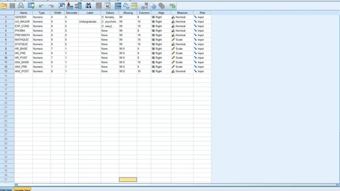 Thumbnail for Running a factorial ANOVA in SPSS