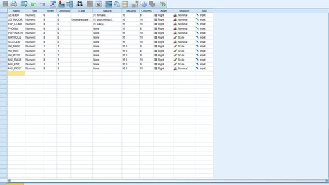 Thumbnail for Running a chi-square test in SPSS