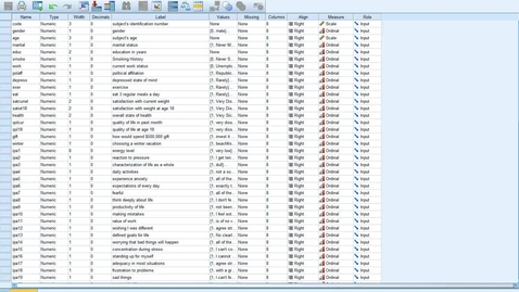 Thumbnail for Chi-square SPSS example